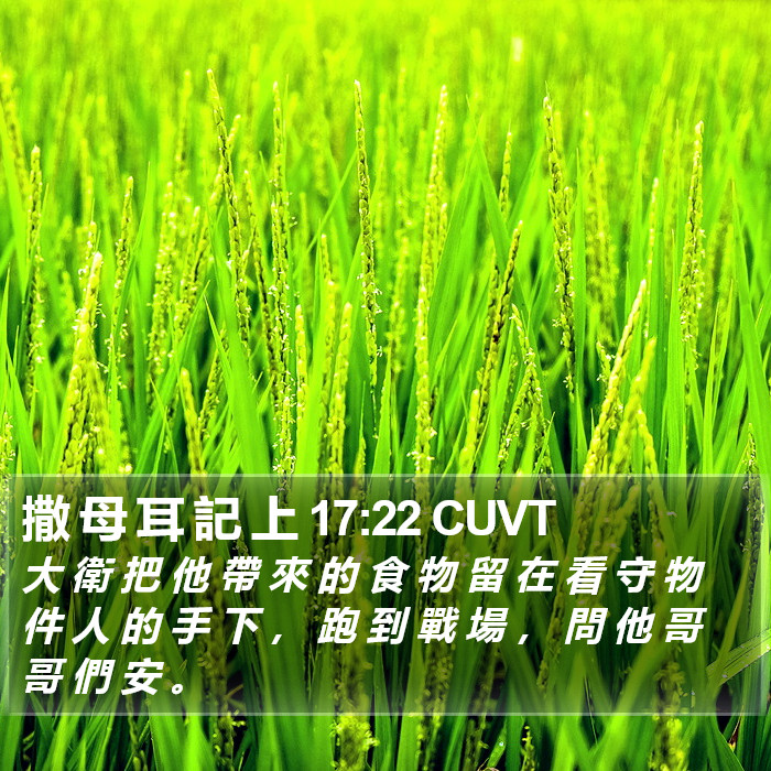 撒 母 耳 記 上 17:22 CUVT Bible Study