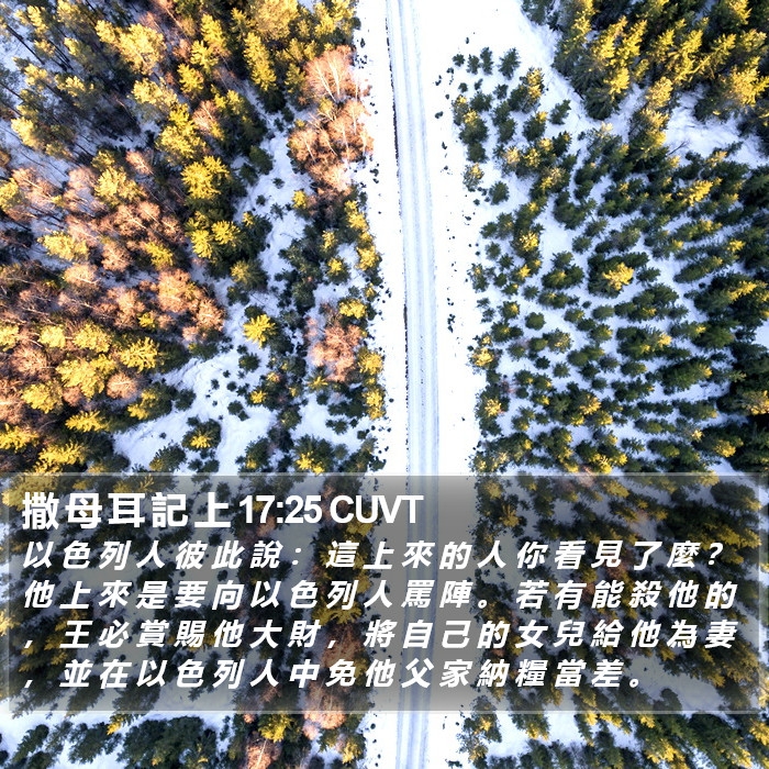 撒 母 耳 記 上 17:25 CUVT Bible Study