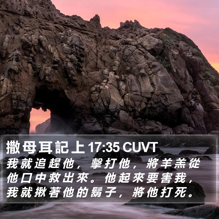 撒 母 耳 記 上 17:35 CUVT Bible Study