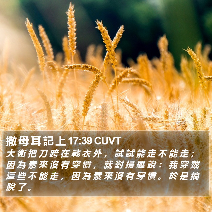 撒 母 耳 記 上 17:39 CUVT Bible Study