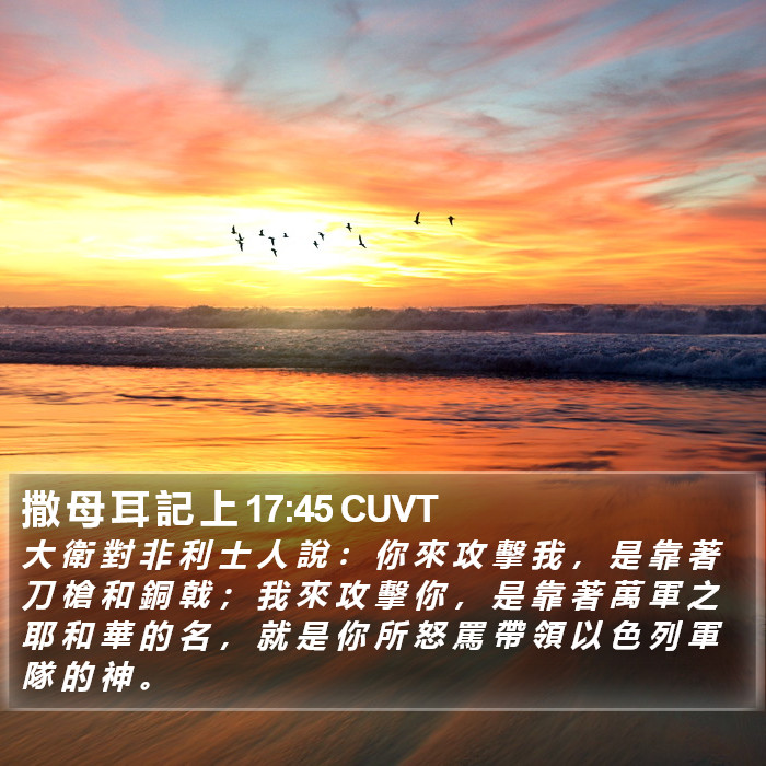 撒 母 耳 記 上 17:45 CUVT Bible Study