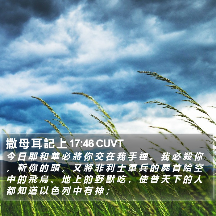 撒 母 耳 記 上 17:46 CUVT Bible Study