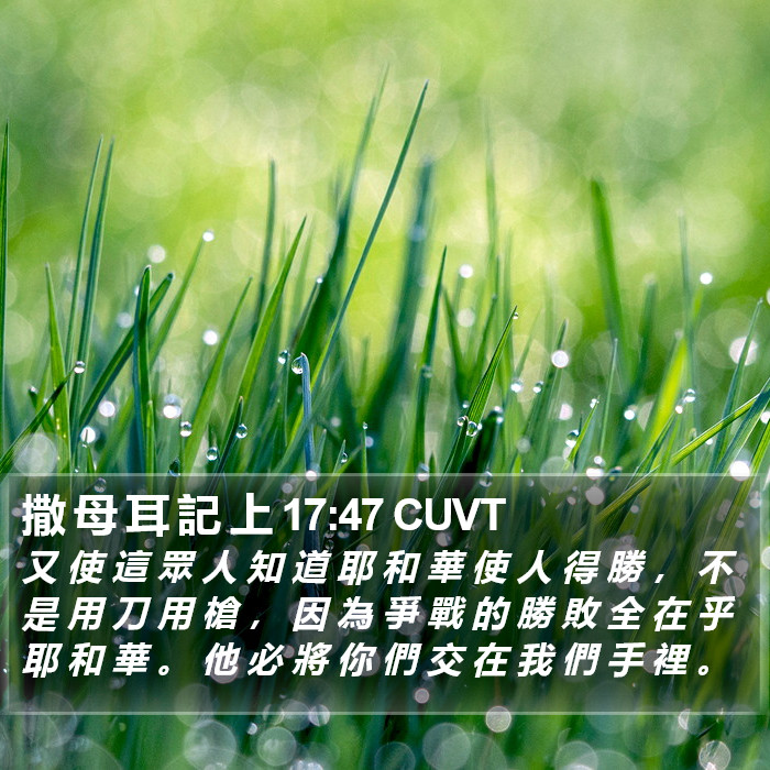 撒 母 耳 記 上 17:47 CUVT Bible Study