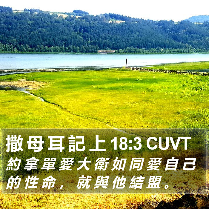 撒 母 耳 記 上 18:3 CUVT Bible Study