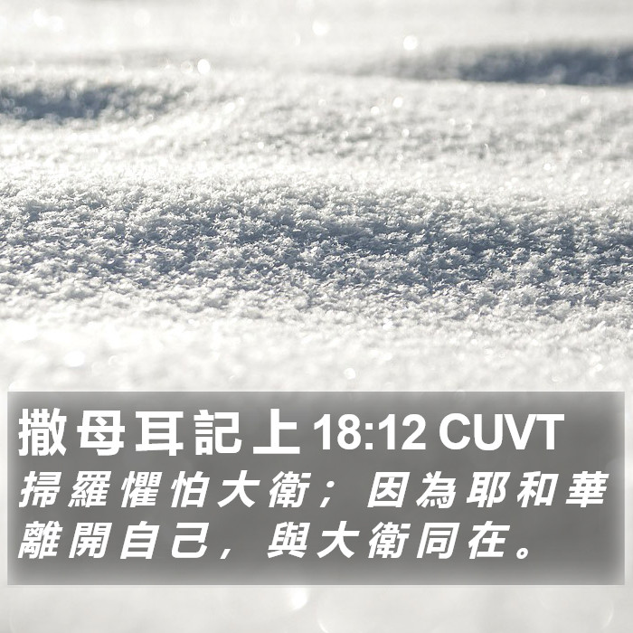 撒 母 耳 記 上 18:12 CUVT Bible Study