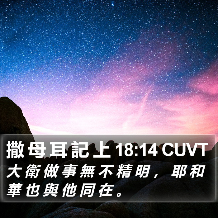 撒 母 耳 記 上 18:14 CUVT Bible Study