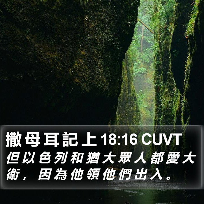 撒 母 耳 記 上 18:16 CUVT Bible Study