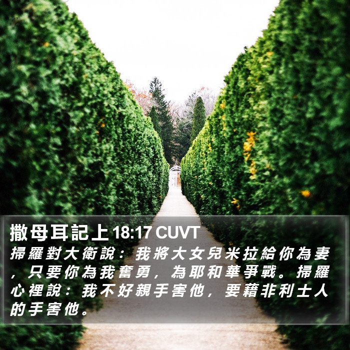 撒 母 耳 記 上 18:17 CUVT Bible Study