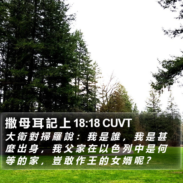 撒 母 耳 記 上 18:18 CUVT Bible Study