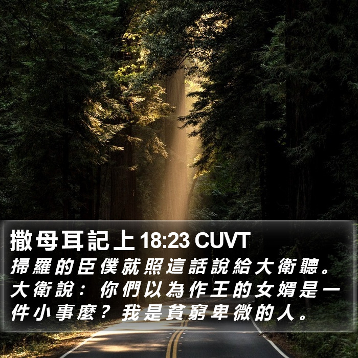 撒 母 耳 記 上 18:23 CUVT Bible Study