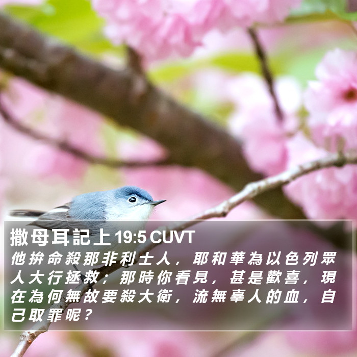 撒 母 耳 記 上 19:5 CUVT Bible Study