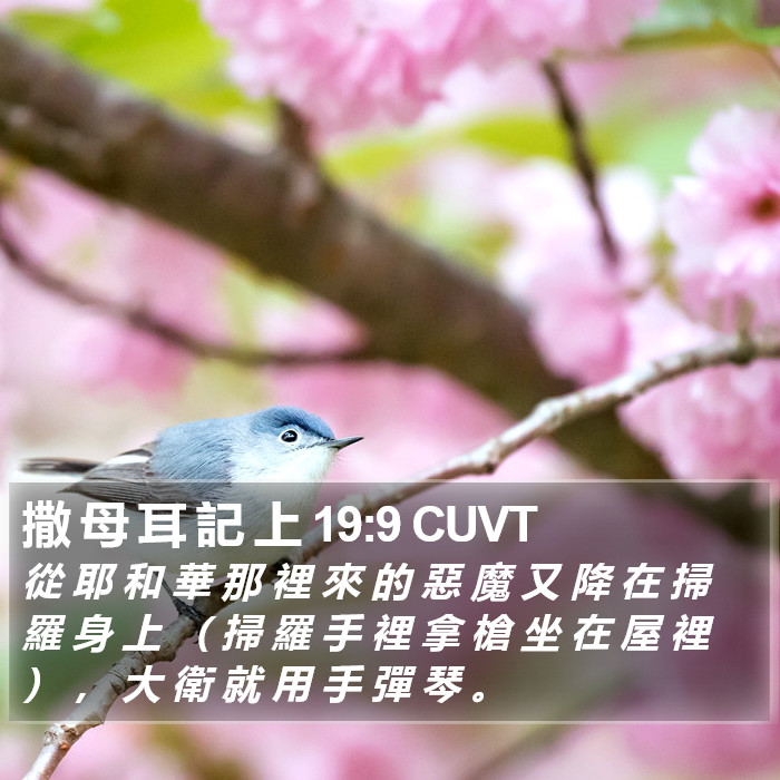 撒 母 耳 記 上 19:9 CUVT Bible Study