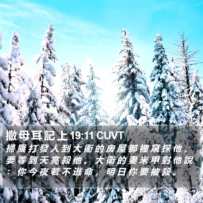 撒 母 耳 記 上 19:11 CUVT Bible Study