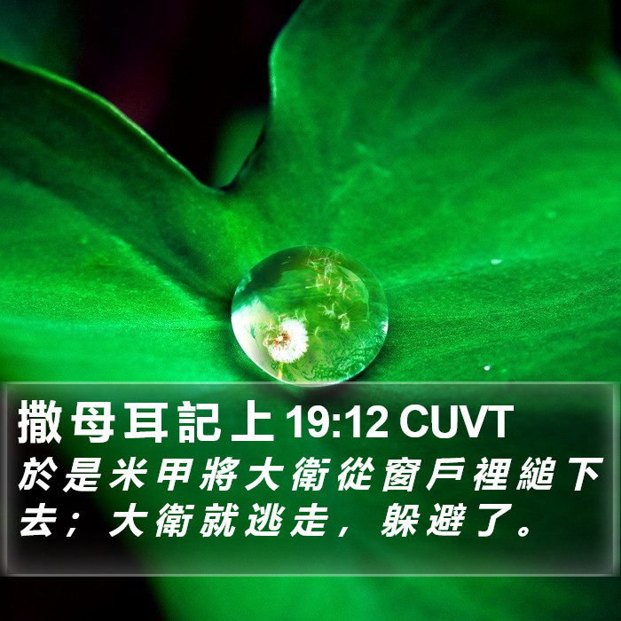 撒 母 耳 記 上 19:12 CUVT Bible Study