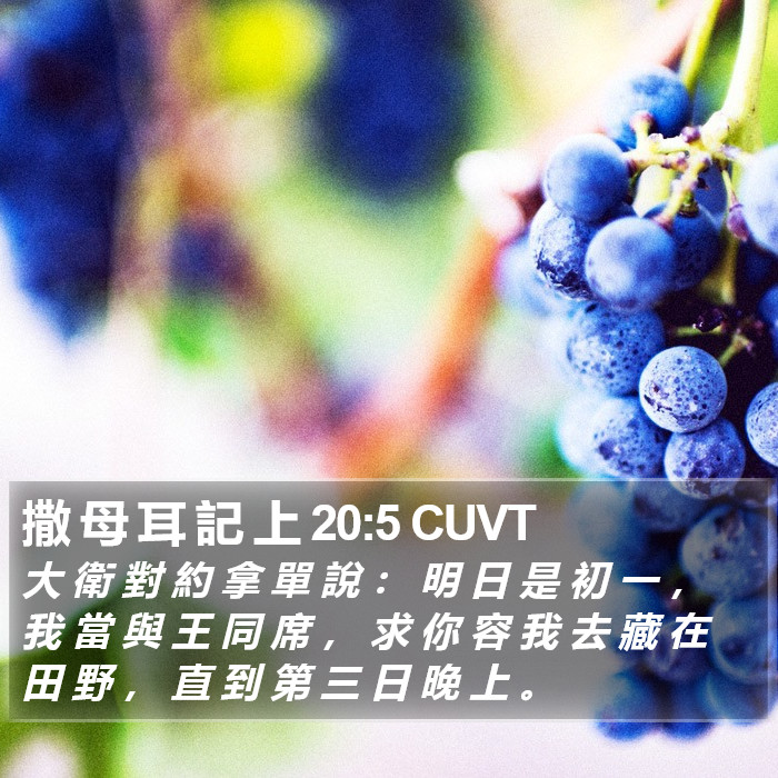 撒 母 耳 記 上 20:5 CUVT Bible Study