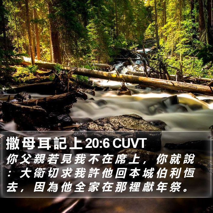 撒 母 耳 記 上 20:6 CUVT Bible Study