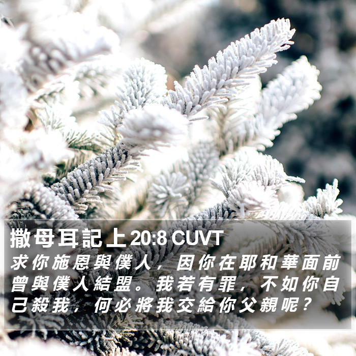 撒 母 耳 記 上 20:8 CUVT Bible Study