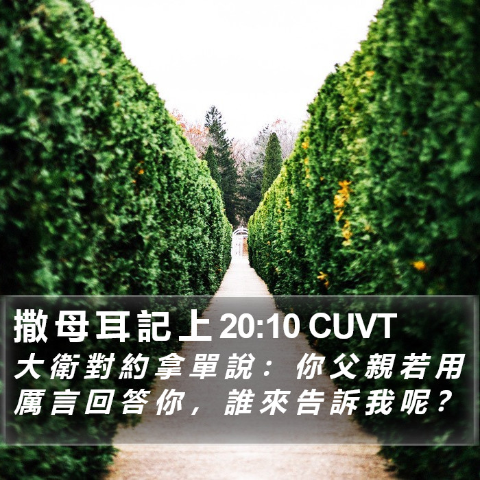 撒 母 耳 記 上 20:10 CUVT Bible Study