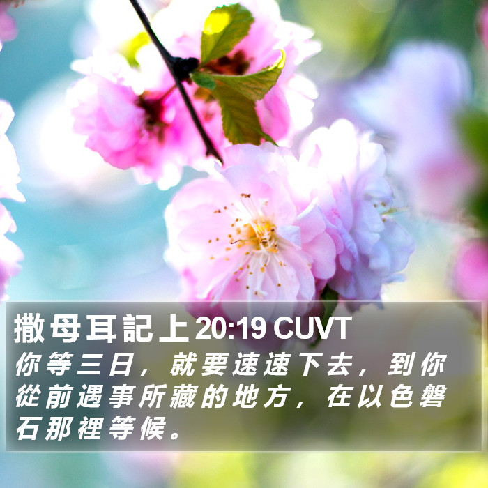 撒 母 耳 記 上 20:19 CUVT Bible Study