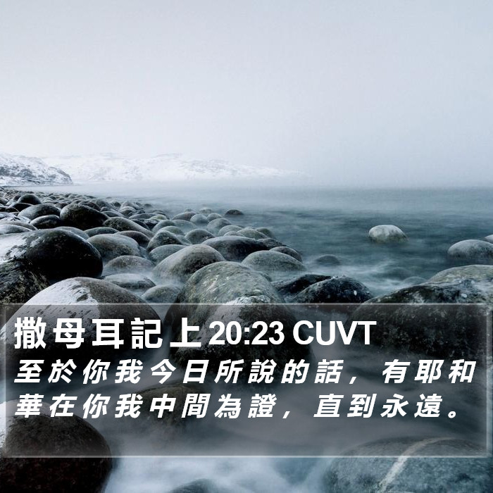 撒 母 耳 記 上 20:23 CUVT Bible Study