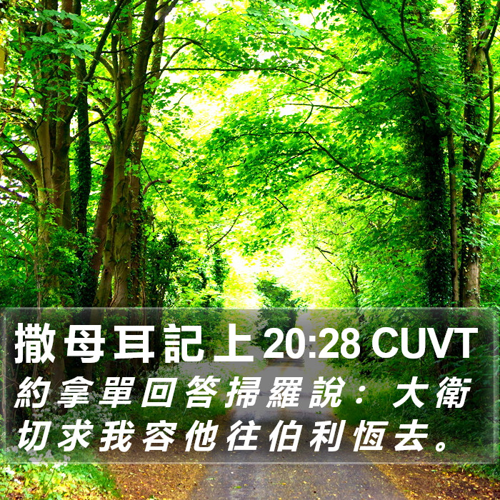 撒 母 耳 記 上 20:28 CUVT Bible Study