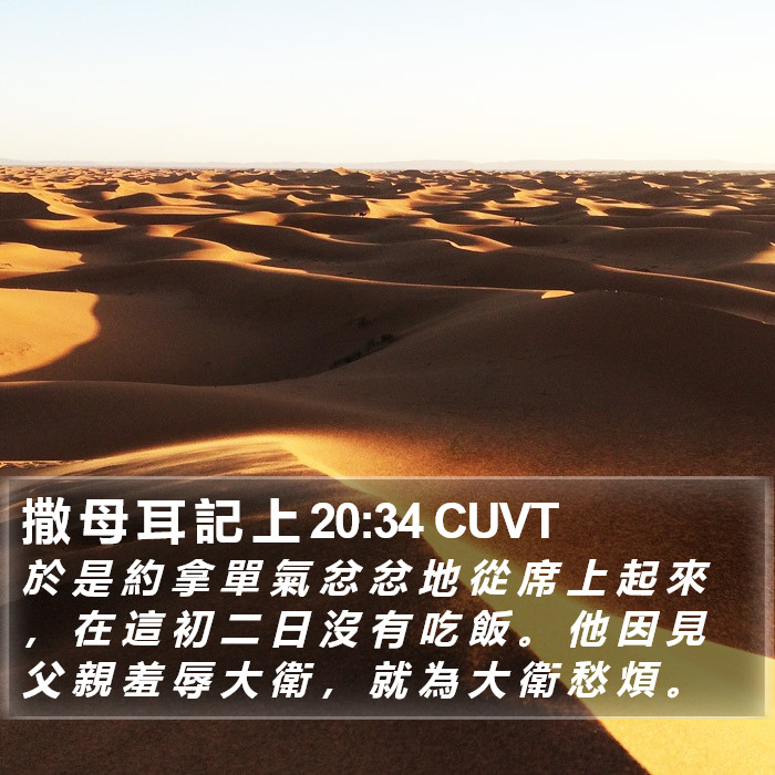 撒 母 耳 記 上 20:34 CUVT Bible Study