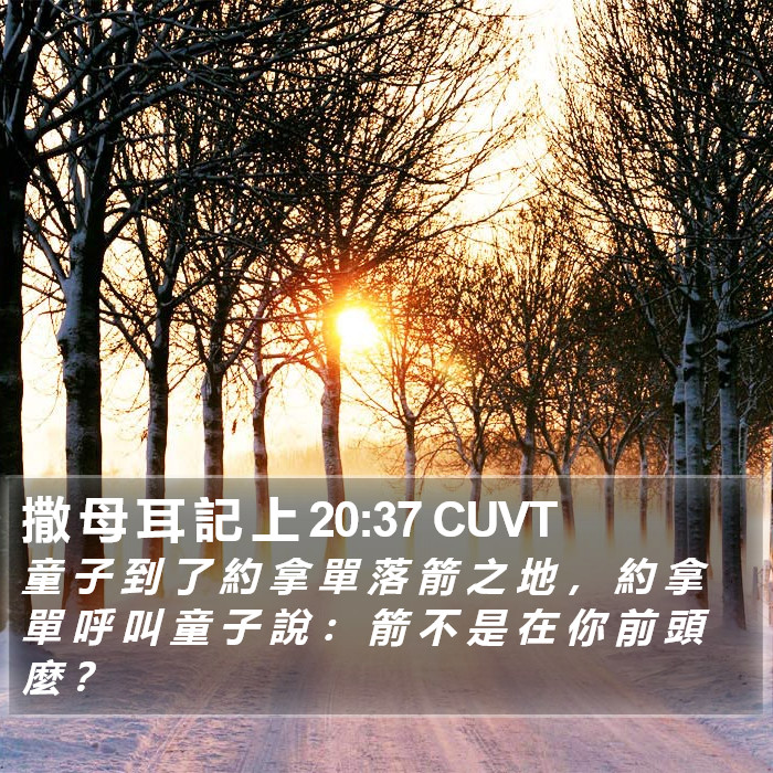 撒 母 耳 記 上 20:37 CUVT Bible Study