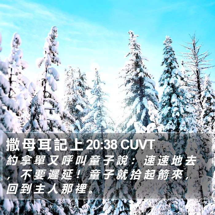 撒 母 耳 記 上 20:38 CUVT Bible Study