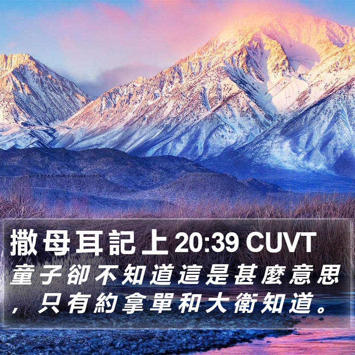 撒 母 耳 記 上 20:39 CUVT Bible Study