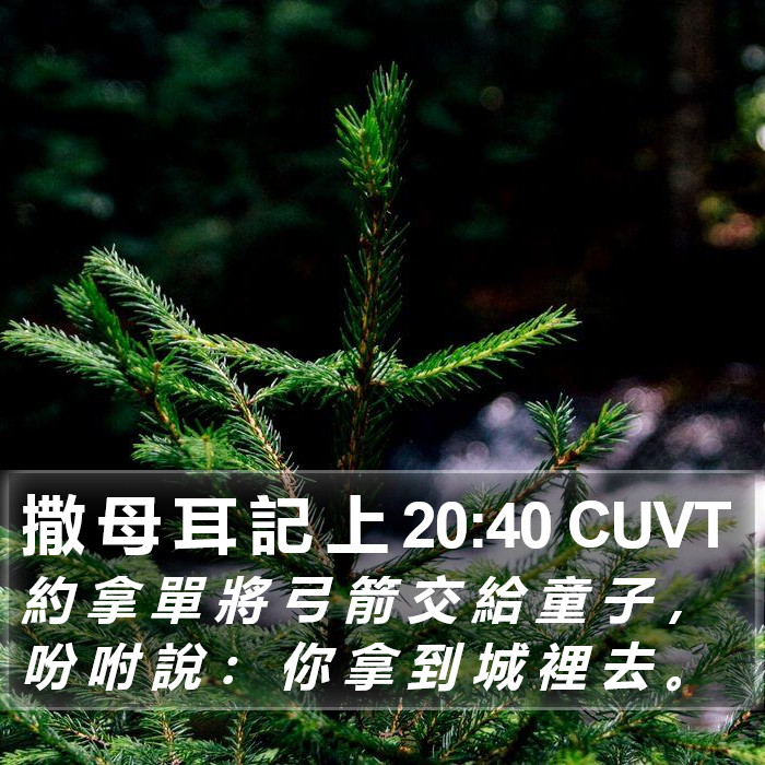 撒 母 耳 記 上 20:40 CUVT Bible Study