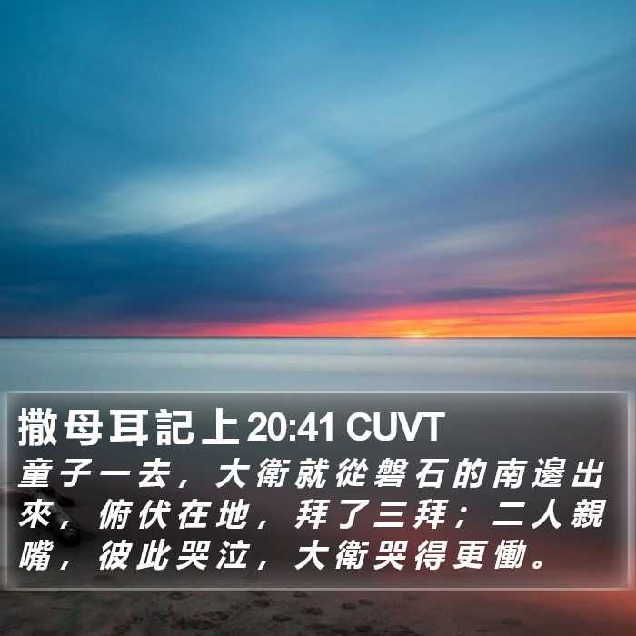 撒 母 耳 記 上 20:41 CUVT Bible Study