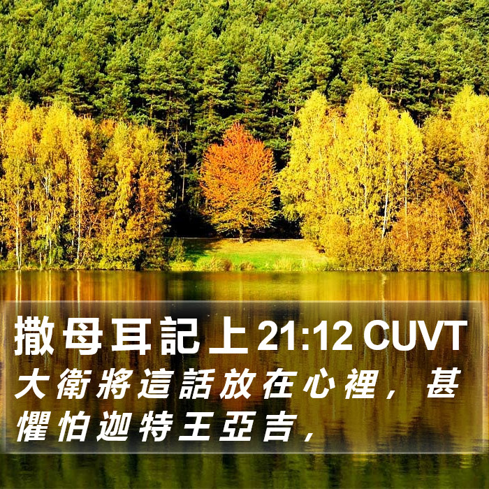 撒 母 耳 記 上 21:12 CUVT Bible Study