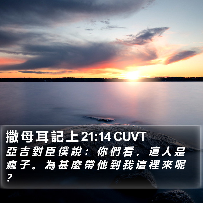 撒 母 耳 記 上 21:14 CUVT Bible Study