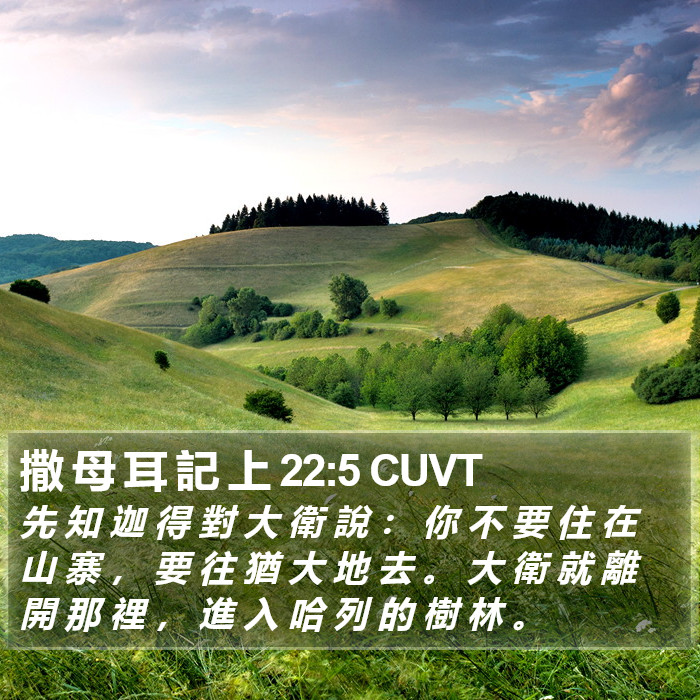撒 母 耳 記 上 22:5 CUVT Bible Study