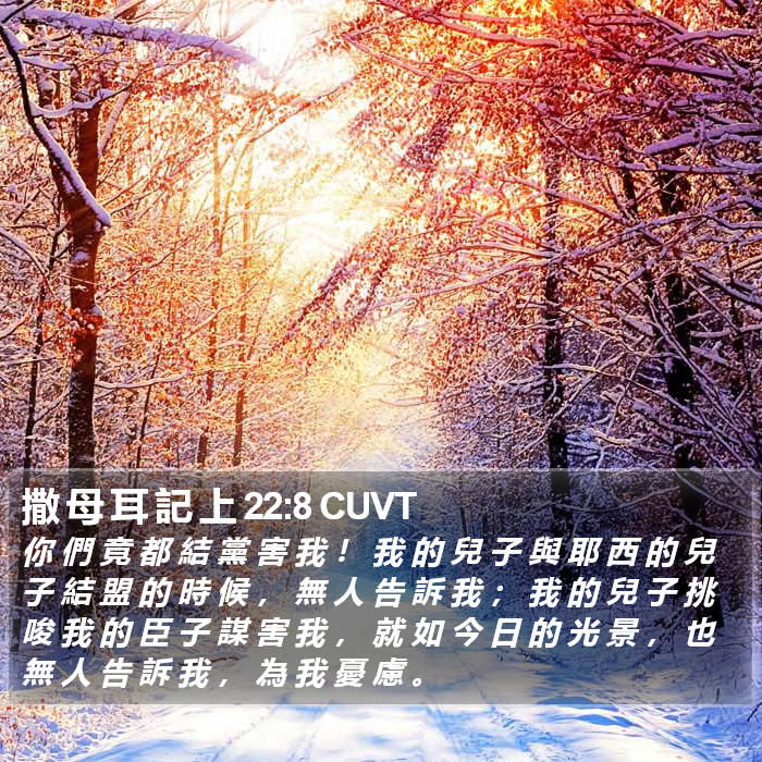撒 母 耳 記 上 22:8 CUVT Bible Study