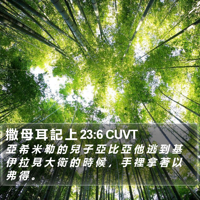 撒 母 耳 記 上 23:6 CUVT Bible Study