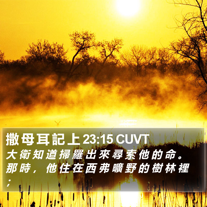 撒 母 耳 記 上 23:15 CUVT Bible Study