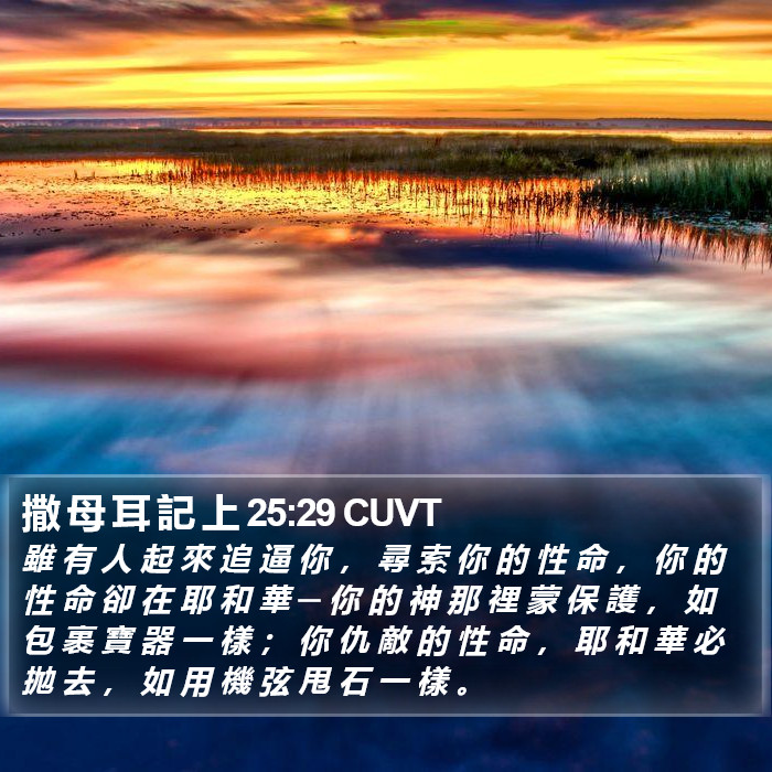 撒 母 耳 記 上 25:29 CUVT Bible Study