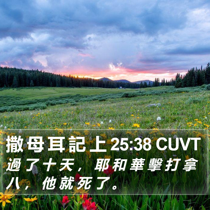 撒 母 耳 記 上 25:38 CUVT Bible Study