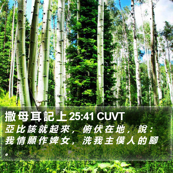 撒 母 耳 記 上 25:41 CUVT Bible Study