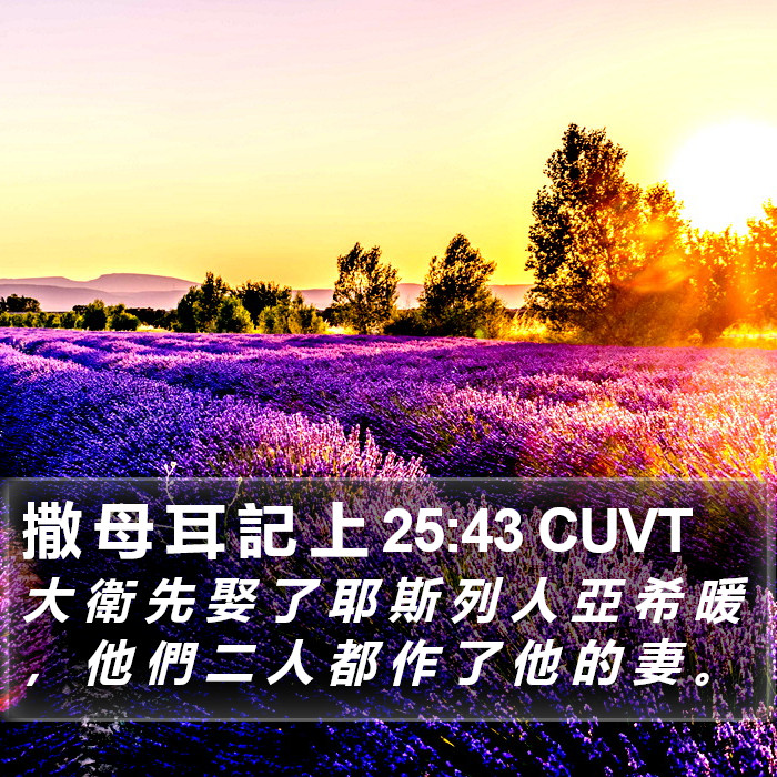 撒 母 耳 記 上 25:43 CUVT Bible Study