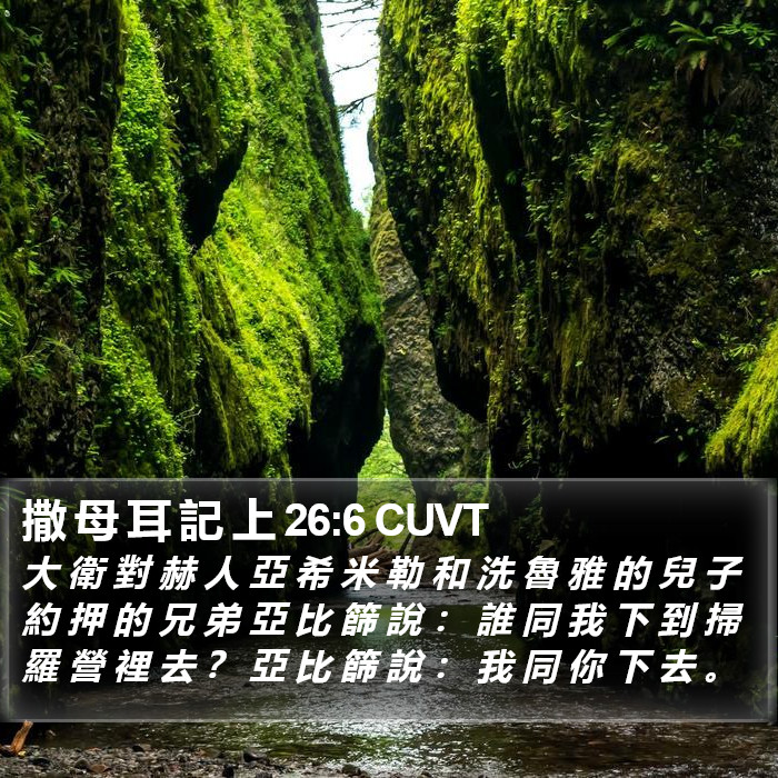 撒 母 耳 記 上 26:6 CUVT Bible Study