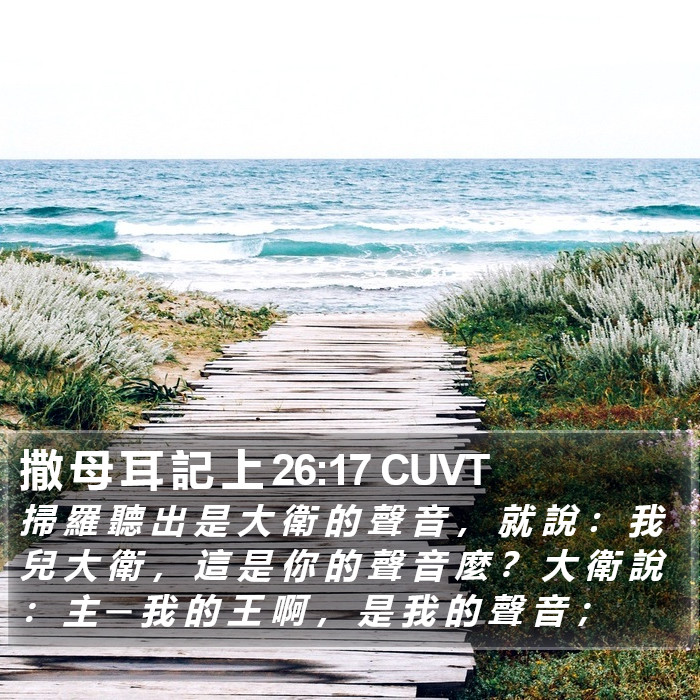 撒 母 耳 記 上 26:17 CUVT Bible Study