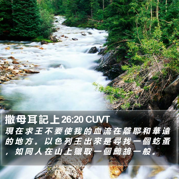 撒 母 耳 記 上 26:20 CUVT Bible Study