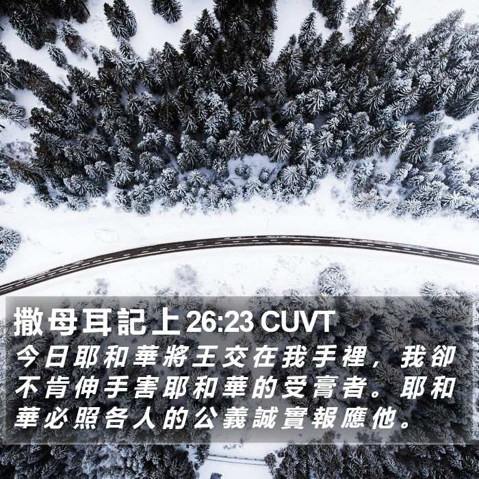 撒 母 耳 記 上 26:23 CUVT Bible Study