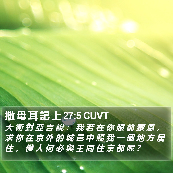 撒 母 耳 記 上 27:5 CUVT Bible Study