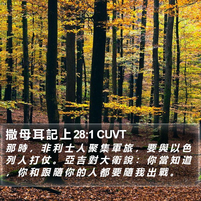 撒 母 耳 記 上 28:1 CUVT Bible Study