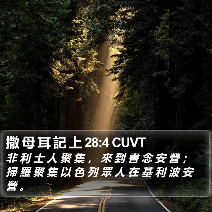 撒 母 耳 記 上 28:4 CUVT Bible Study