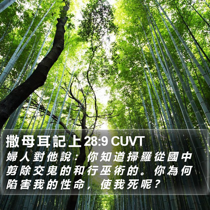 撒 母 耳 記 上 28:9 CUVT Bible Study