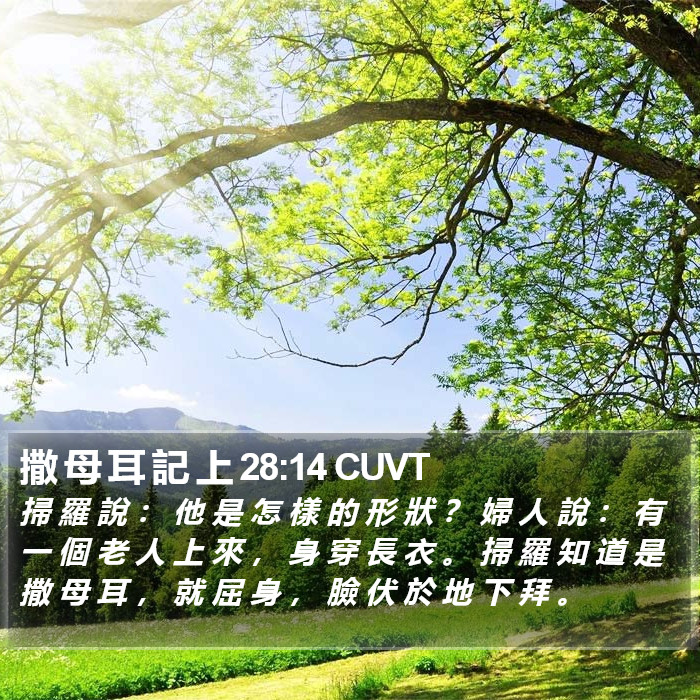 撒 母 耳 記 上 28:14 CUVT Bible Study